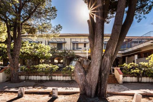 Hotel Oasis Argelès-sur-Mer Kültér fotó